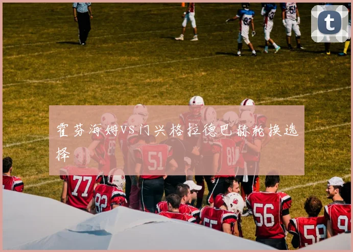 霍芬海姆vs门兴格拉德巴赫轮换选择