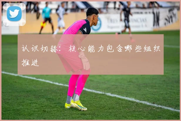 认识切赫:核心能力包含哪些组织推进