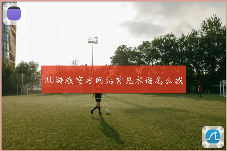 AG游戏官方网站常见术语怎么找